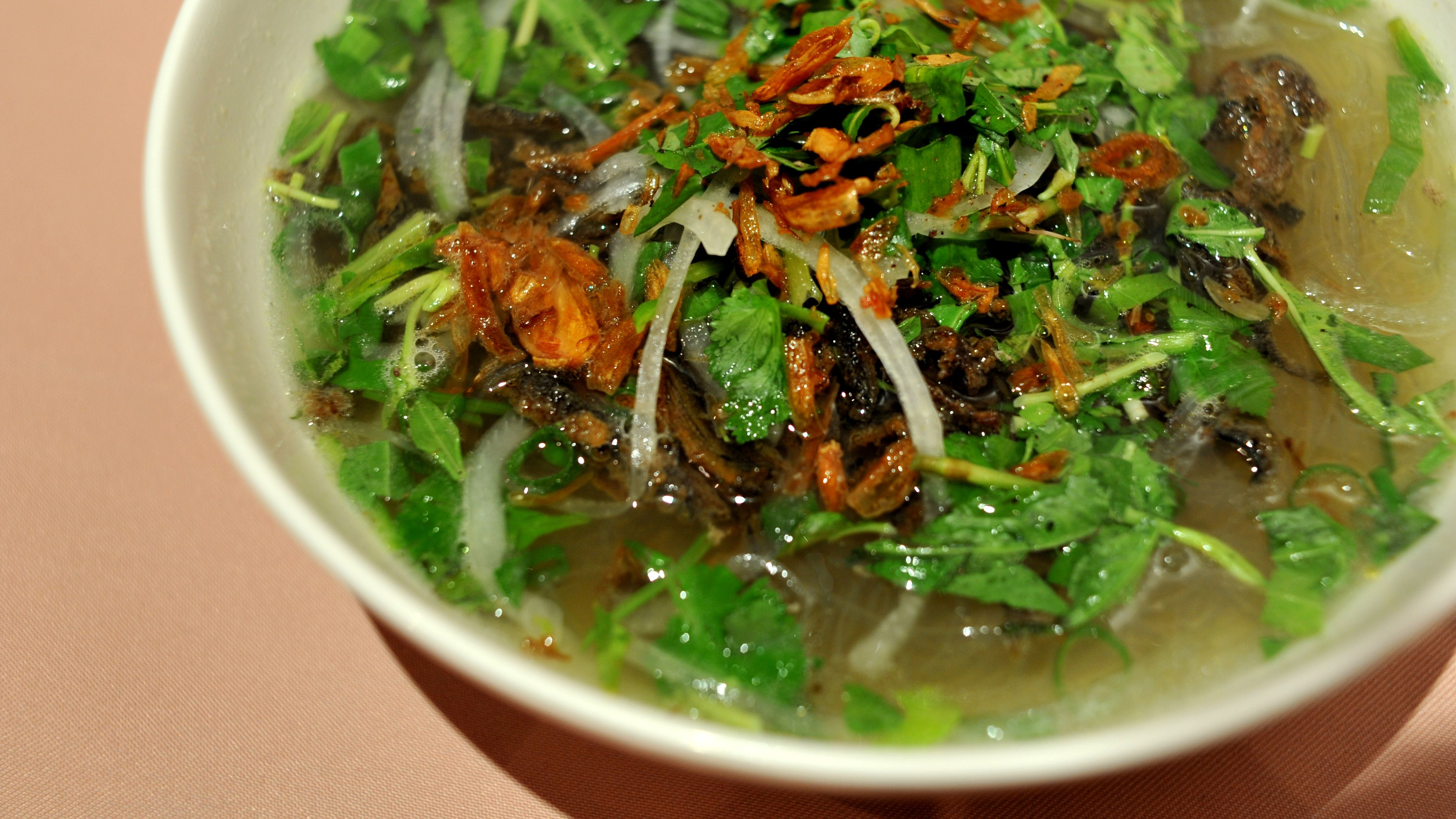 Hanoi eel noodle soup